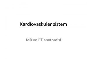 Kardiovaskuler sistem MR ve BT anatomisi Kalp anatomisi