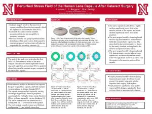 Perturbed Stress Field of the Human Lens Capsule