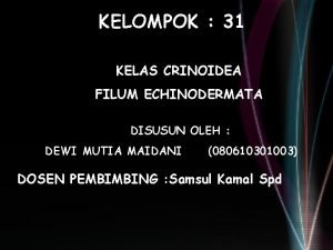 Setelah yang termasuk kelompok crinoidea Setelah yang termasuk kelompok crinoidea