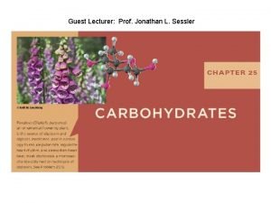 Guest Lecturer Prof Jonathan L Sessler Carbohydrates Carbohydrate