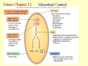 Talaro Chapter 12 Microbial Control Choosing a disinfectant