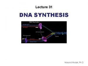Lecture 31 DNA SYNTHESIS Mukund Modak Ph D