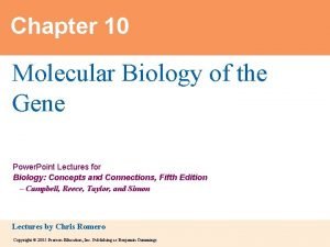 Chapter 10: molecular biology of the gene
