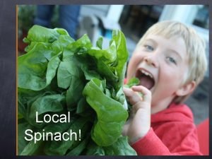 Local Spinach Spinach a cool weather crop We