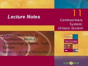 Lecture Notes 11 Genitourinary System Urinary System Classroom