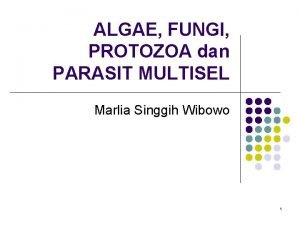 Marlia singgih