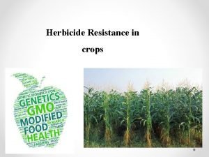 Herbicide Resistance in crops Introduction Herbicide tolerance is