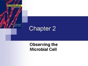 Chapter 2 Observing the Microbial Cell Observing Microbes