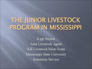 THE JUNIOR LIVESTOCK PROGRAM IN MISSISSIPPI Kipp Brown