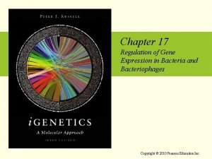 Chapter 17 Regulation of Gene Expression in Bacteria