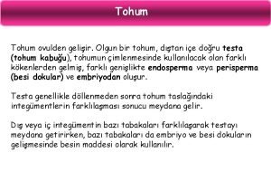 Tohum ovulden geliir Olgun bir tohum dtan ie