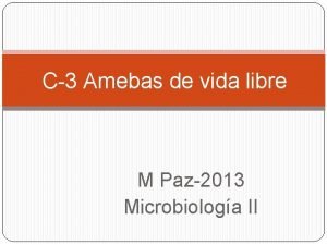 C3 Amebas de vida libre M Paz2013 Microbiologa