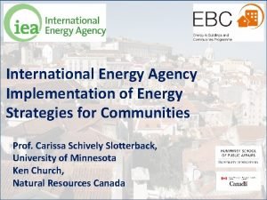 International Energy Agency Implementation of Energy Strategies for