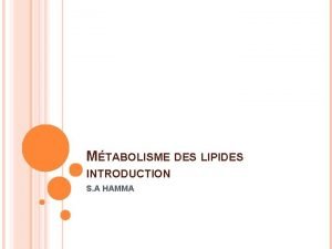 MTABOLISME DES LIPIDES INTRODUCTION S A HAMMA DFINITION