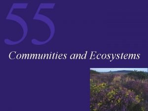 55 Communities and Ecosystems 55 Communities and Ecosystems