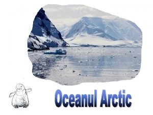 Oceanul arctic animale