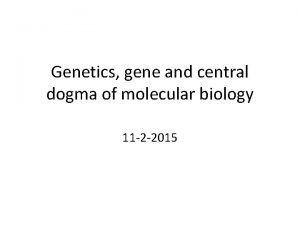 Genetics gene and central dogma of molecular biology