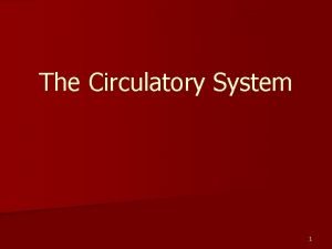 The Circulatory System 1 Circulatory system n What