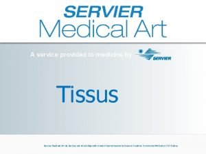 Servier medical art