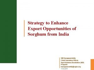 Strategy to Enhance Export Opportunities of Sorghum from