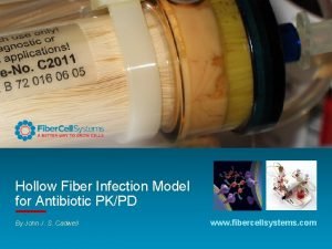 Hollow Fiber Infection Model for Antibiotic PKPD By