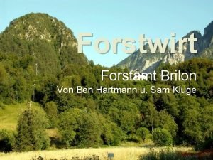 Forstamt brilon