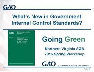 Whats New in Government Internal Control Standards Going