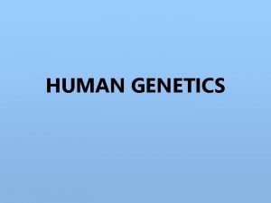 HUMAN GENETICS Review Mendel the father of genetics