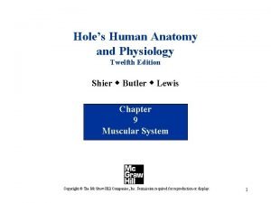 Holes Human Anatomy and Physiology Twelfth Edition Shier