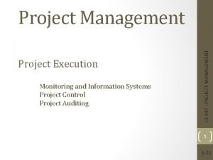 Project Execution Monitoring and Information Systems Project Control