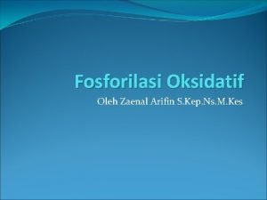 Fosforilasi Oksidatif Oleh Zaenal Arifin S Kep Ns