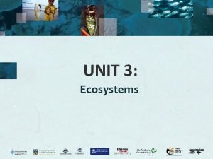 Unit 3 ecosystem Unit 3 ecosystem