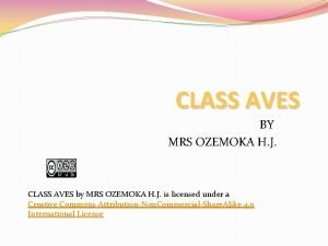 CLASS AVES BY MRS OZEMOKA H J CLASS
