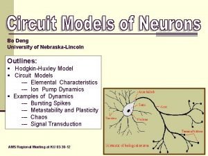 Bo Deng University of NebraskaLincoln Outlines HodgkinHuxley Model