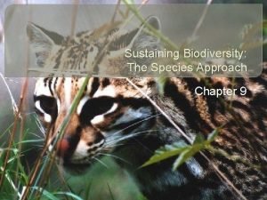 Sustaining Biodiversity The Species Approach Chapter 9 Core