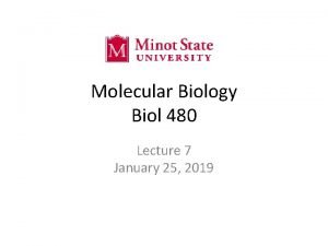 Molecular Biology Biol 480 Lecture 7 January 25