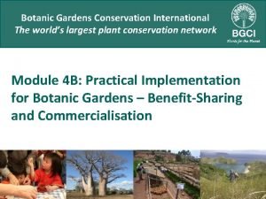 Botanic Gardens Conservation International The worlds largest plant