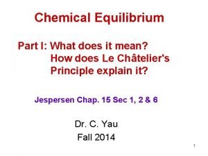 Chemical Equilibrium Part I What does it mean