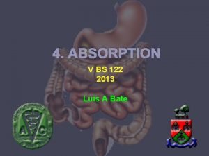 4 ABSORPTION V BS 122 2013 Luis A