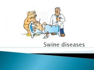 Swine diseases Dermatologic diseases Mange Sarcoptes scabei var