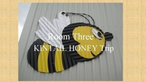 Room Three KINTAIL HONEY Trip Kintail Honey We