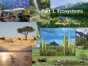 Part 1 Ecosystems Objectives Part I Ecosystems Describe