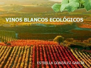 VINOS BLANCOS ECOLGICOS ESTRELLA GONZLEZ GARCA INTRODUCCIN Es