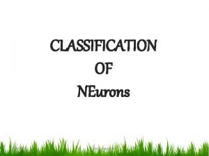 Numerical classification of nerve fibres