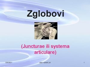 Zglobovi Juncturae ili systema articulare 392021 alen vukeli