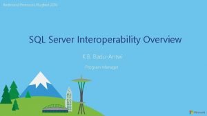Redmond Protocols Plugfest 2016 SQL Server Interoperability Overview