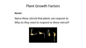 What are three stimuli that plants respond to