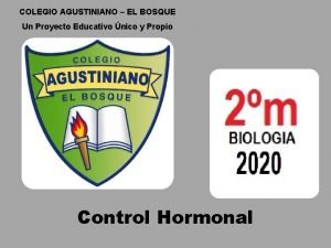 Proyecto educativo Proyecto educativo