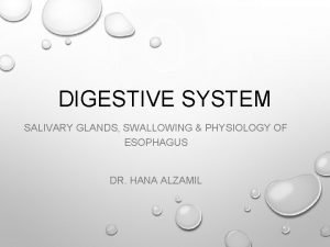 DIGESTIVE SYSTEM SALIVARY GLANDS SWALLOWING PHYSIOLOGY OF ESOPHAGUS