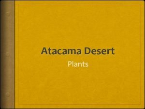 Atacama Desert Plants Store water in the roots